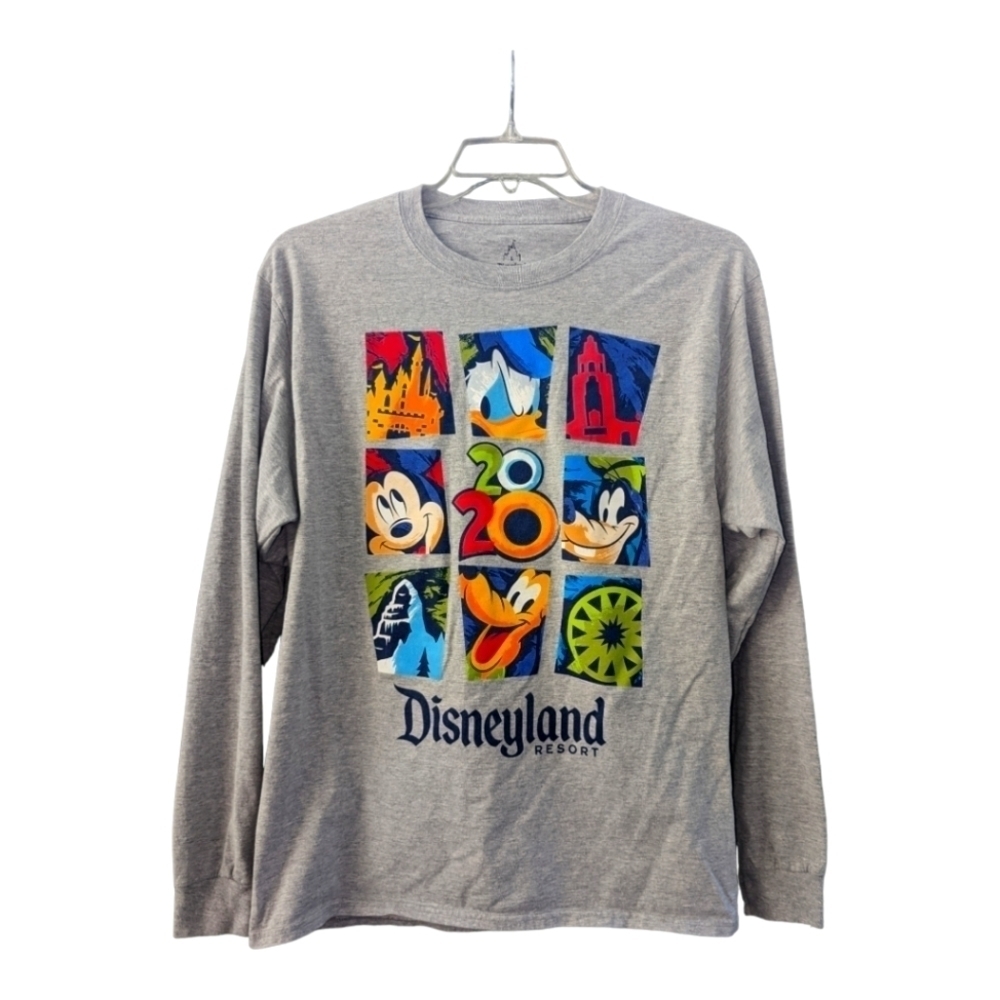 Disneyland Hanes 2020 gray graphic tshirt Size Large